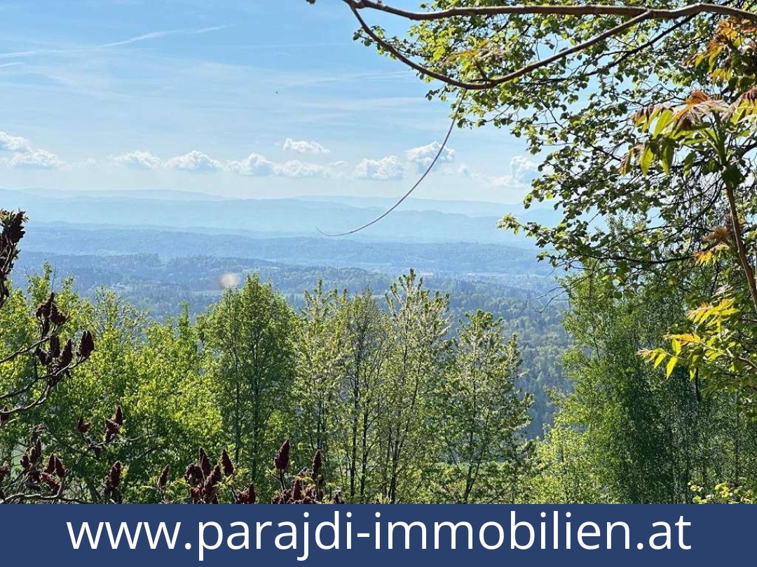 austria-homes-bad gams-8524-20251010221757-0032401007.jpg austria-homes-bad gams-8524-20251010221757-0032401007.jpg